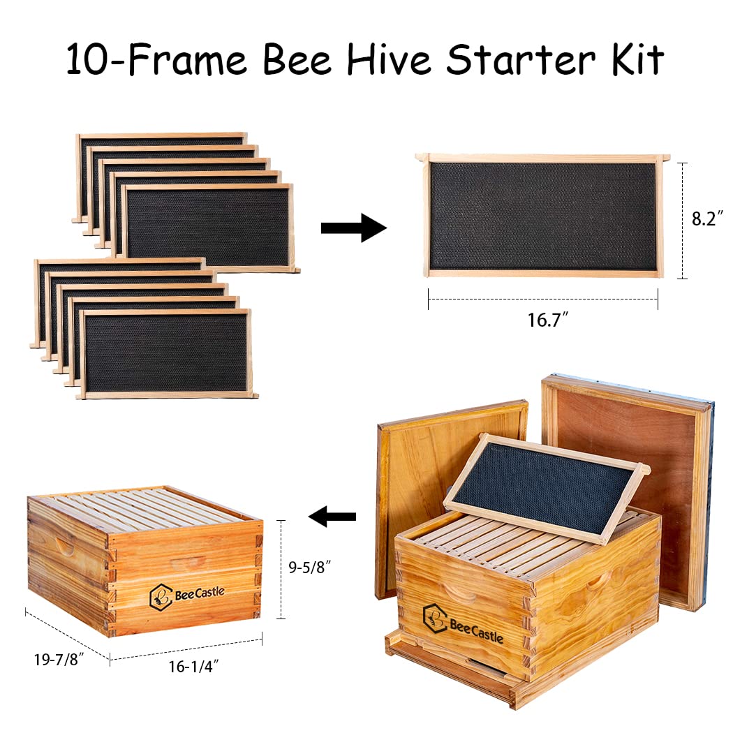 BeeCastle frame and foundation sheets with beeswax dip for sturdy framing