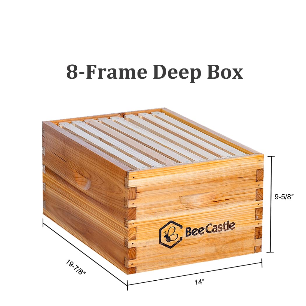 BeeCastle frames with waxed foundations ready for immediate hive setup.