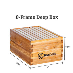 BeeCastle frames with waxed foundations ready for immediate hive setup.