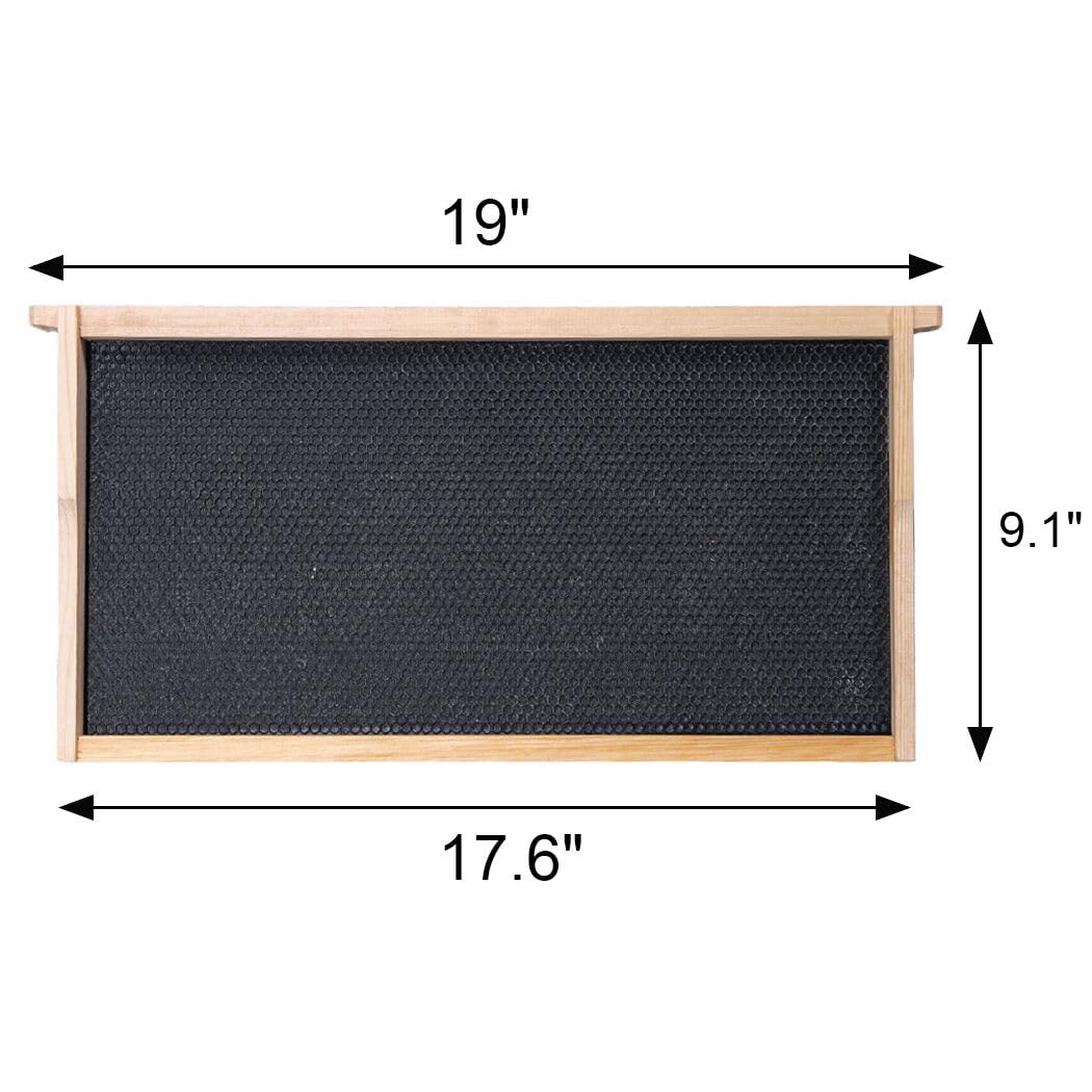BeeCastle FSC certified wood frames with beeswax coated foundations for faster comb building