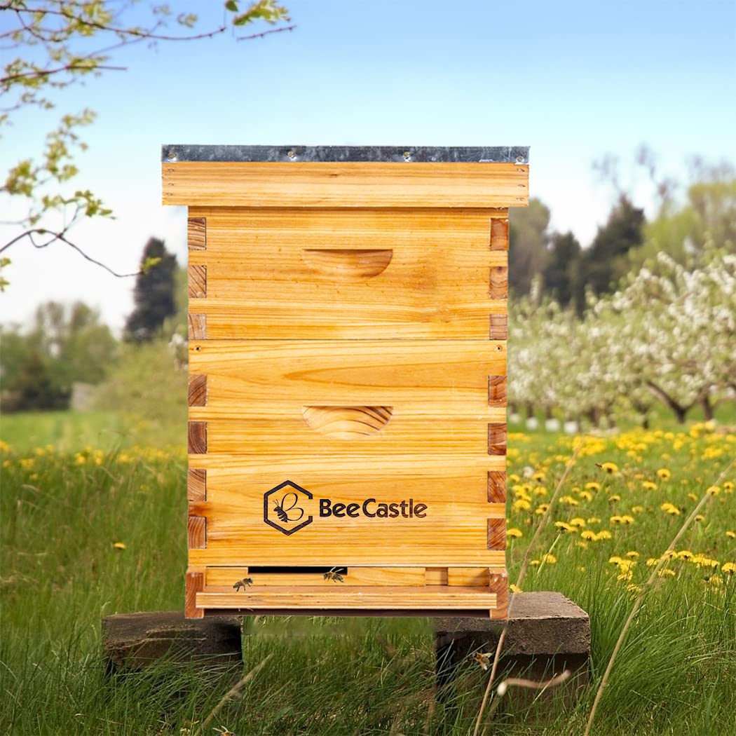 BeeCastle FSC-certified wood beehive supports sustainability