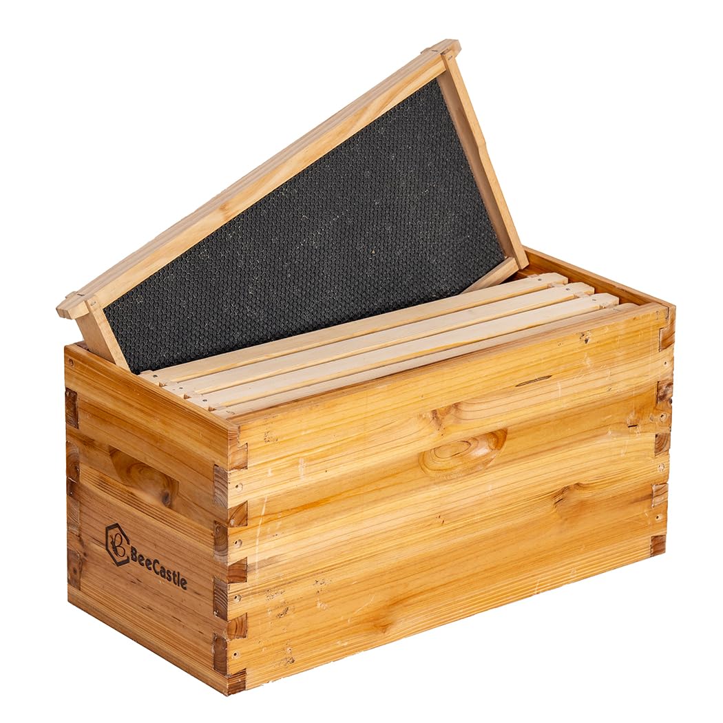 BeeCastle Langstroth 5-frame dimensions, compatible with common equipment