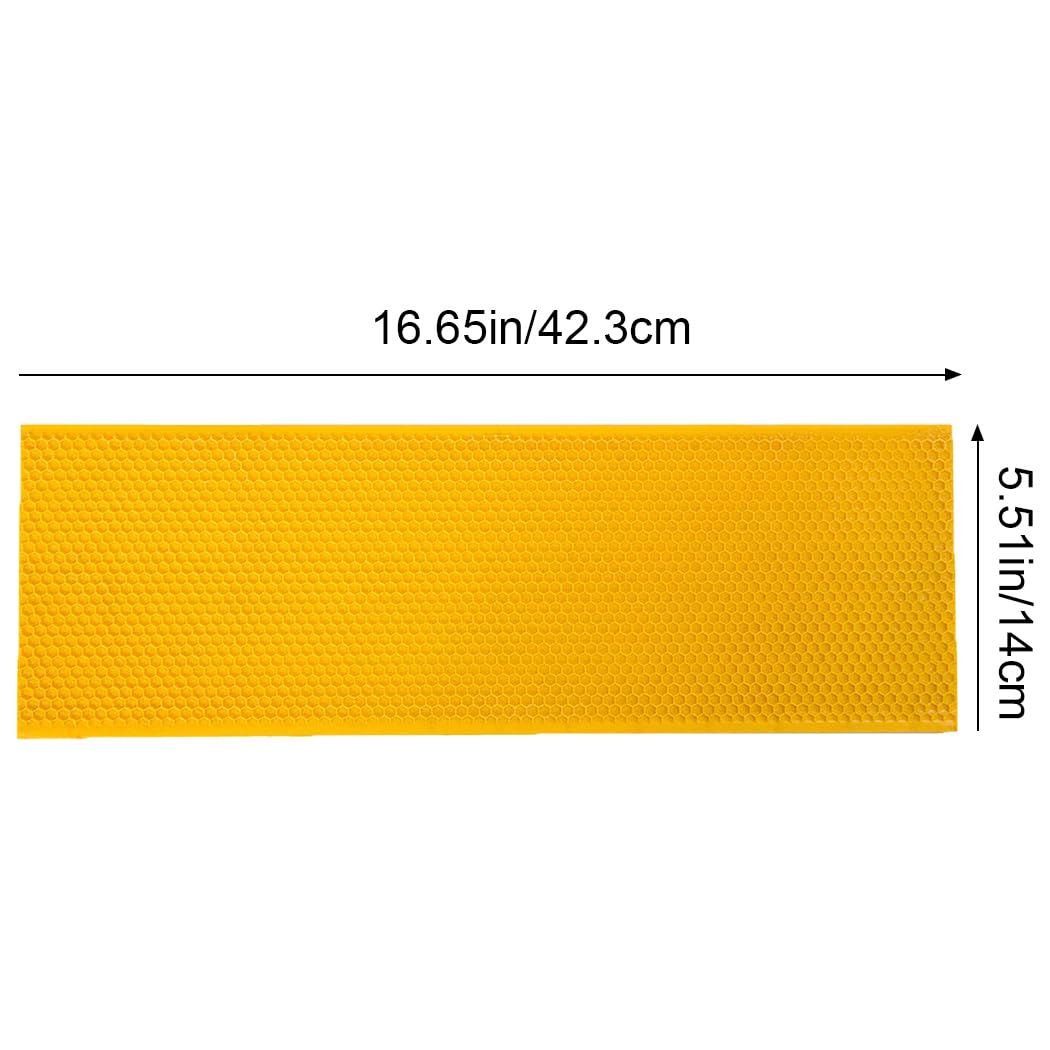 BeeCastle Langstroth medium-frame foundation size ensures proper fit and durability