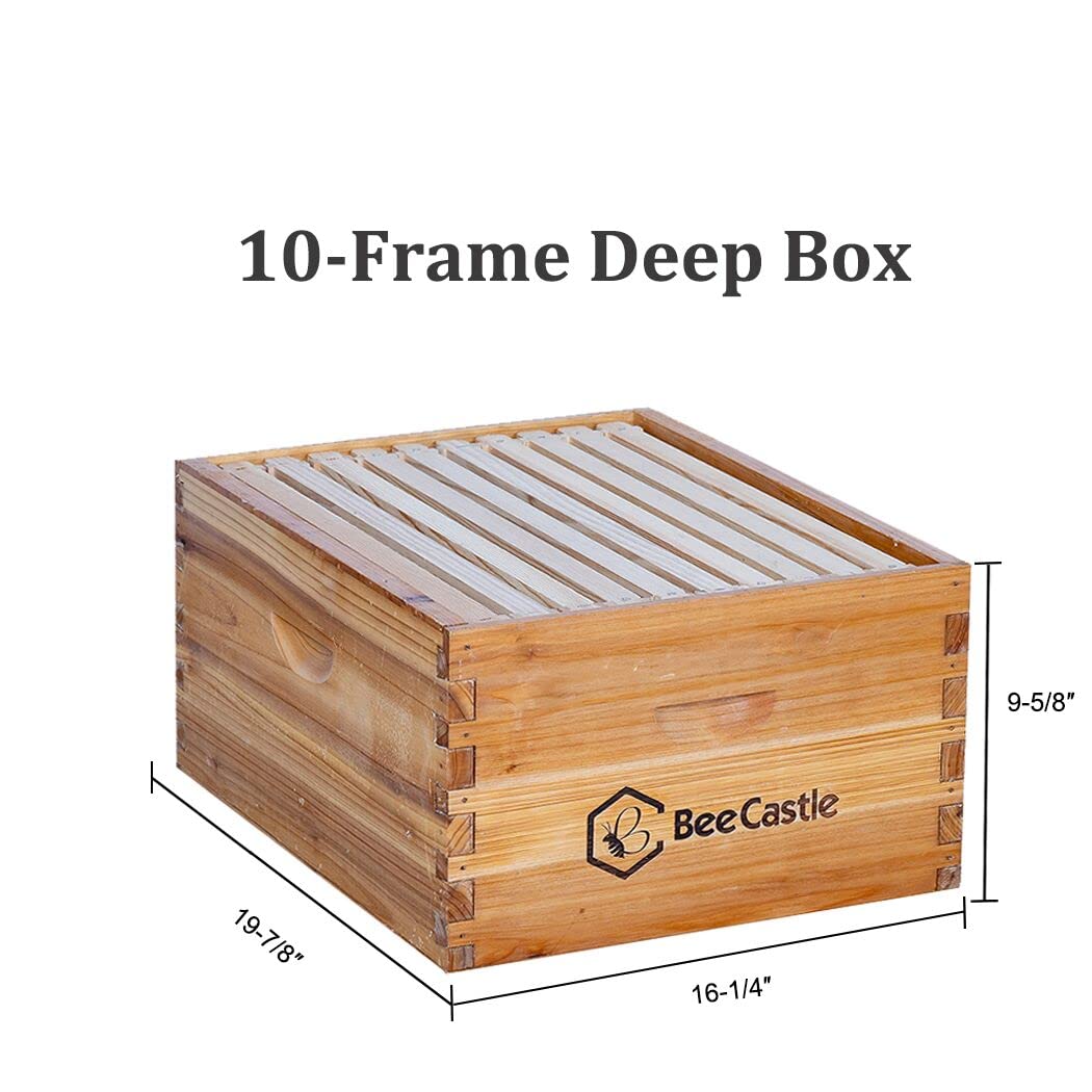 Langstroth standard deep brood box by BeeCastle