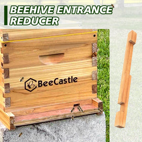 BeeCastle two pack entrance reducer demonstrates hive entrance with ventilation