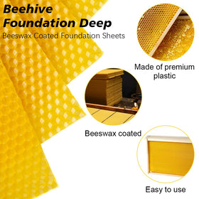 BeeCastle 16.65 x 8.26 inch foundation sheets maintain frame compatibility.