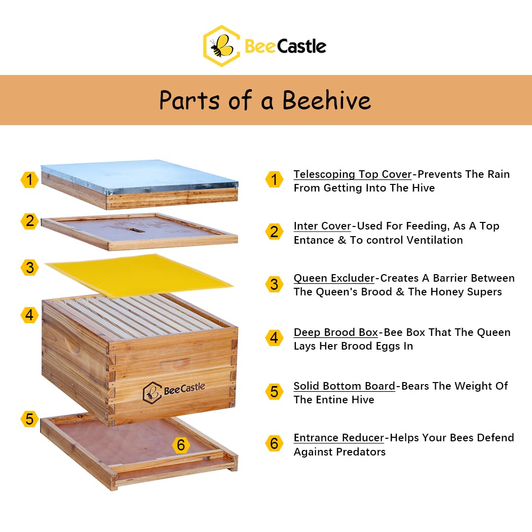 BeeCastle wax-dipped cedar hive exterior highlights durable housing