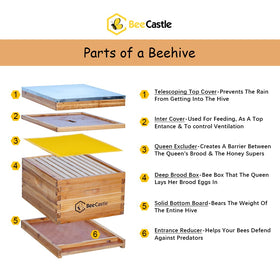 BeeCastle wax-dipped cedar hive exterior highlights durable housing