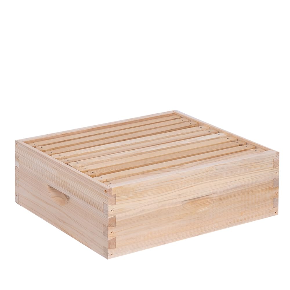 BeeINN 10-frame beehive box ready for quick assembly.