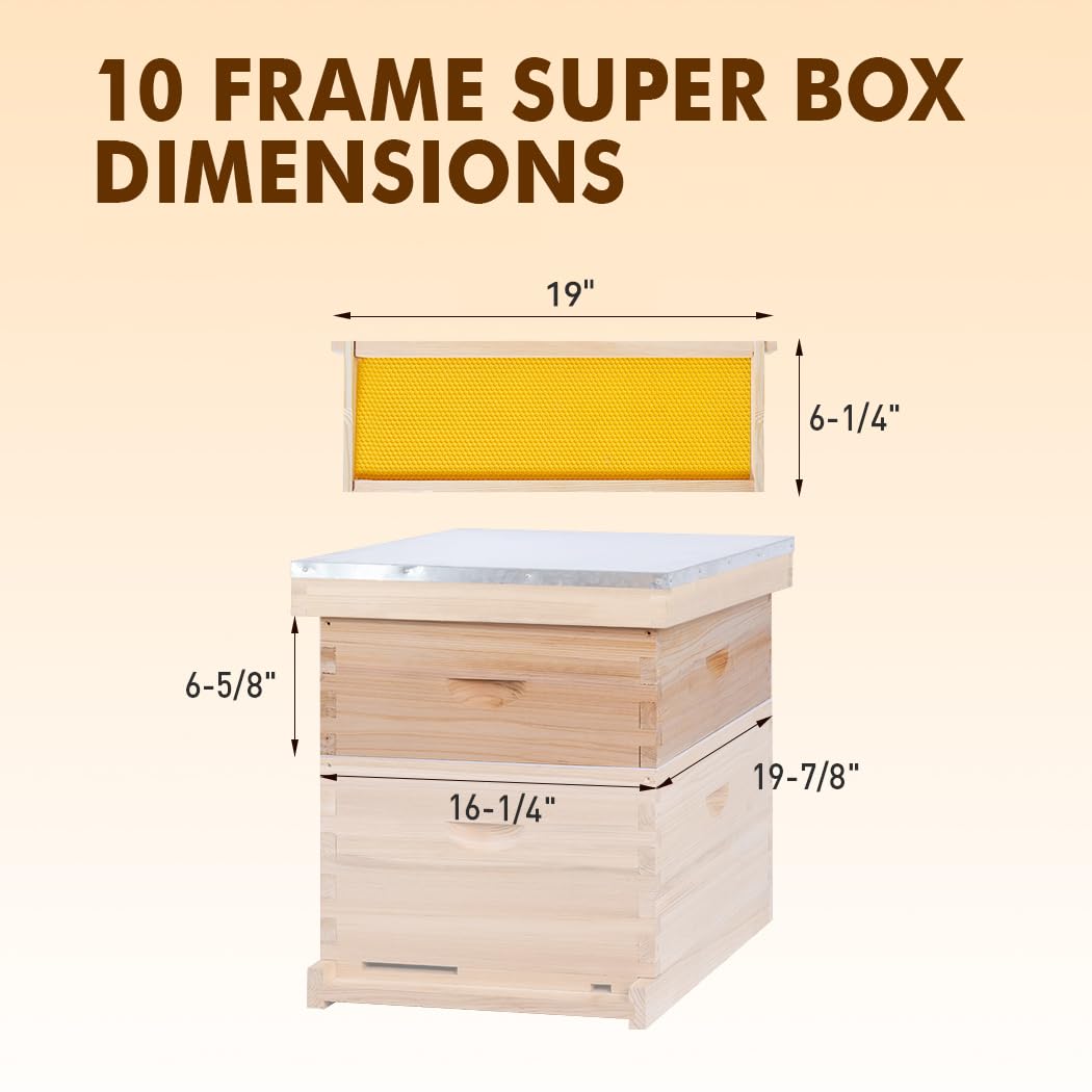 BeeINN cedar wood beehive box with durable dovetail construction.
