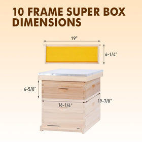 BeeINN cedar wood beehive box with durable dovetail construction.