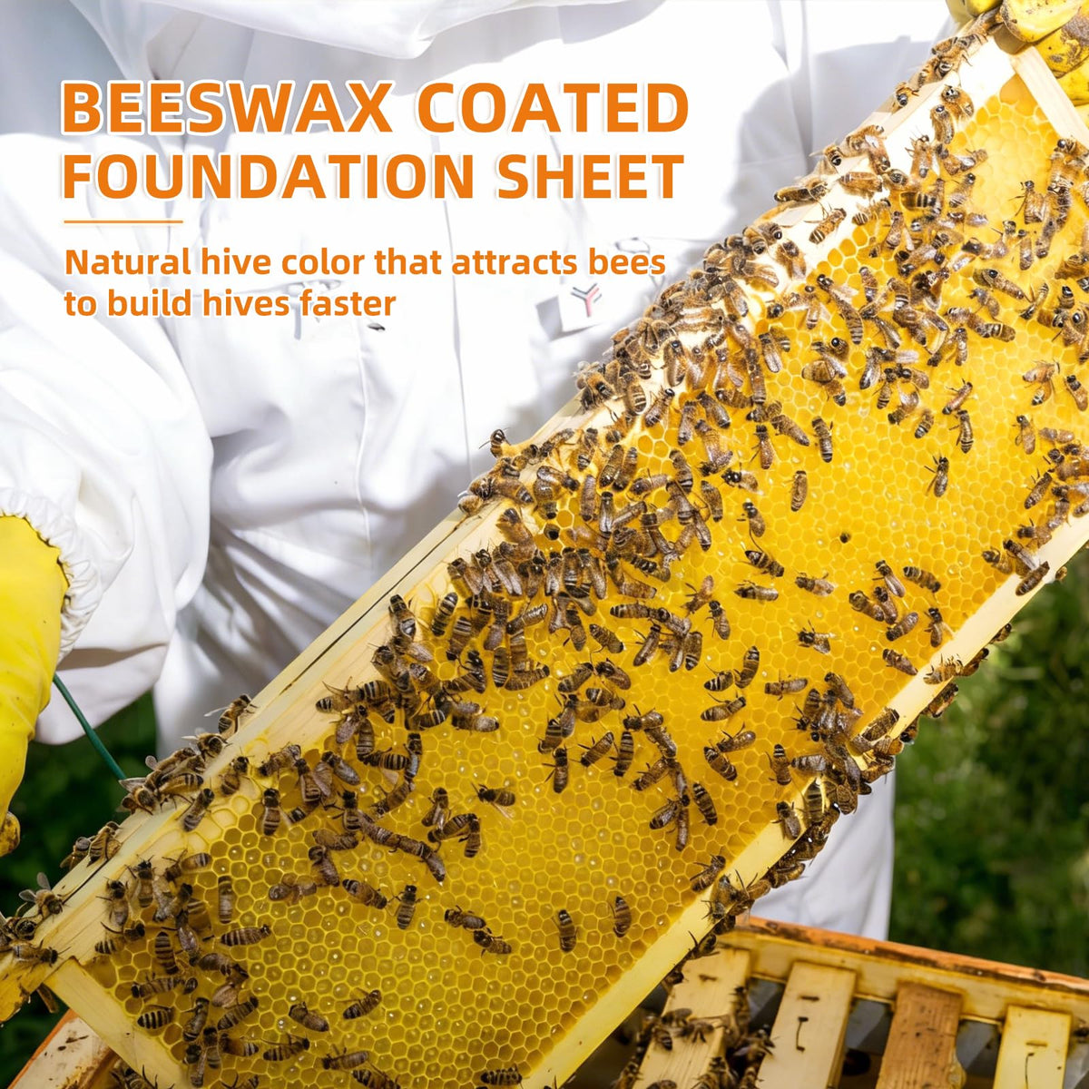 Pack of 10 sheets keeps your hives supplied and ready.