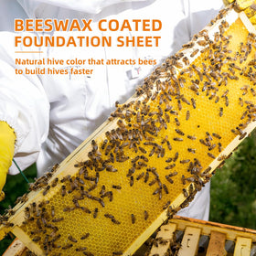Pack of 10 sheets keeps your hives supplied and ready.