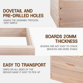 BEEINN langstroth deep brood box with frames and foundations for quick colony building.