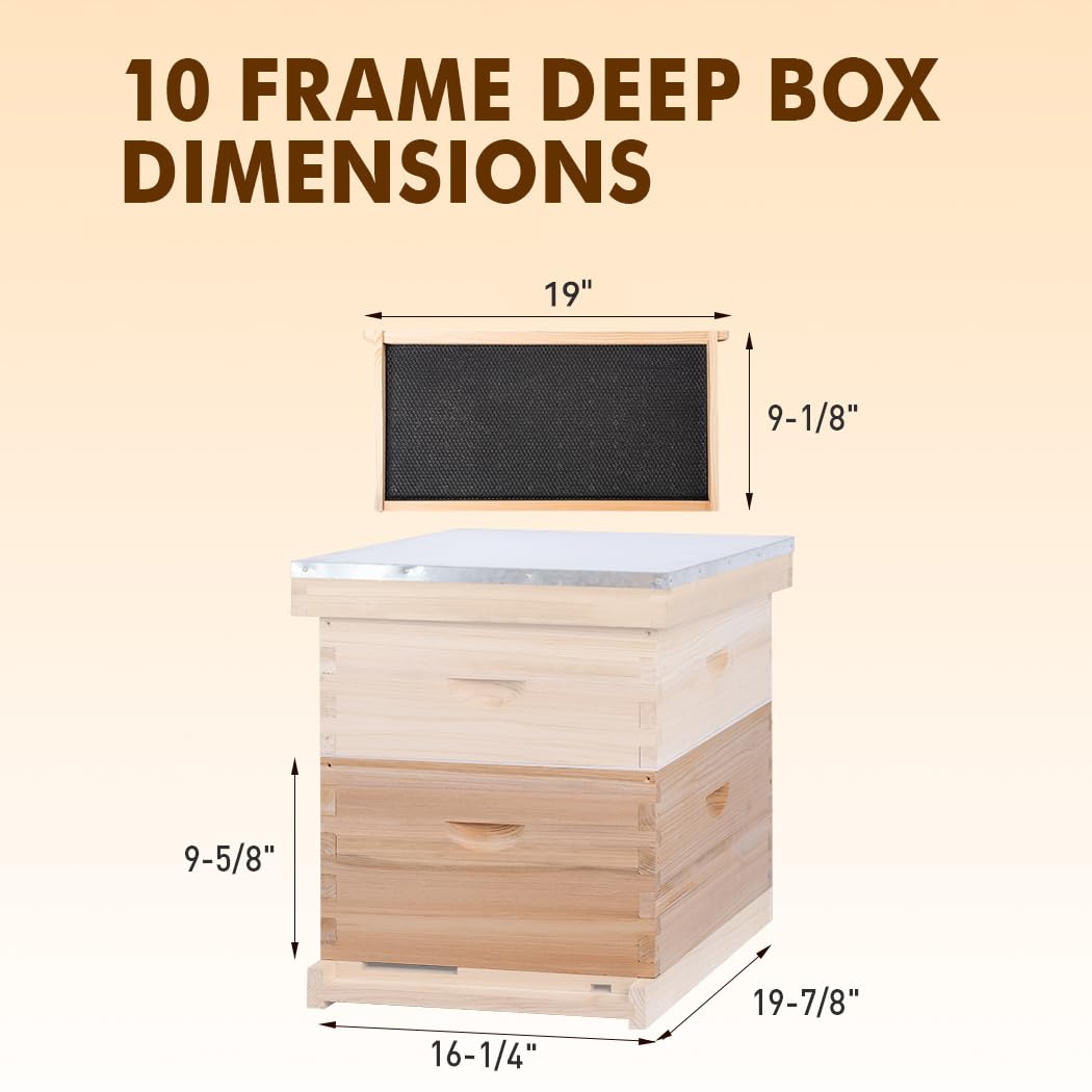 BEEINN removable wood frames with beeswax foundations support easy hive maintenance.