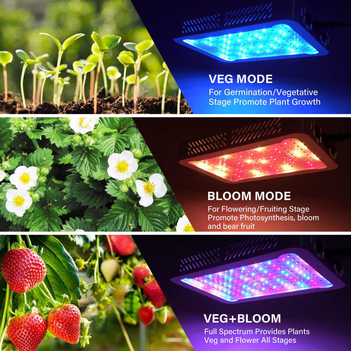 Beelux dual-chip LED close-up, showcasing efficient full spectrum for robust growth