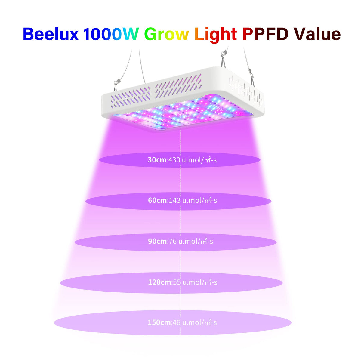 Beelux full spectrum lighting supports seed starting and year-round harvest