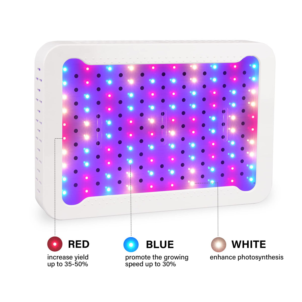 Beelux grow light hanging setup with adjustable ropes for versatile plant placement
