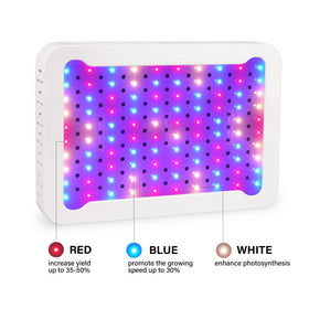 Beelux grow light hanging setup with adjustable ropes for versatile plant placement