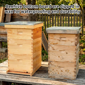 BeeQuestify beekeeping base providing stable footing for 10-frame hives