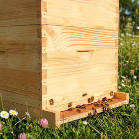 BeeQuestify ventilation-focused bottom board supporting hive air movement