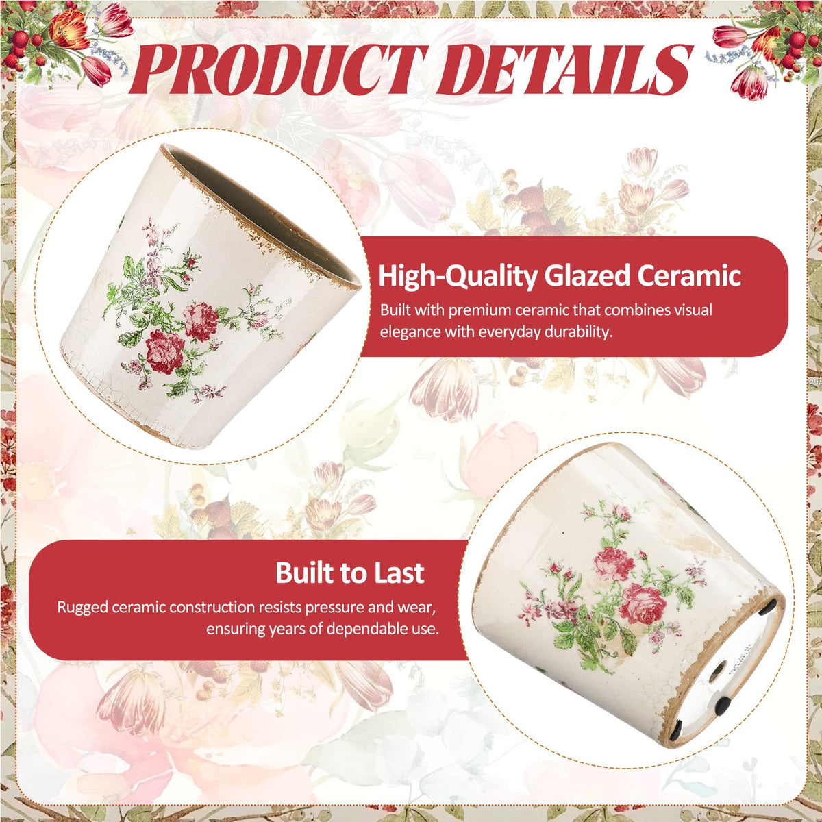 Beeveer ceramic planter with built-in drainage hole supports healthy root growth.