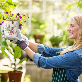 Beeveer 5.5-inch ceramic planter suitable for succulents, herbs, and small blooms.