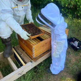BEEXTM Full-coverage bee suit stitching ensures durability and comfort
