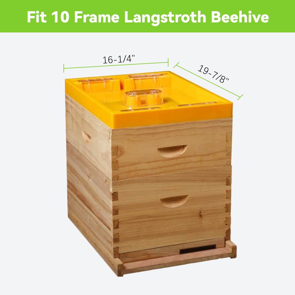 BEEXTM Beehive Feeder with six entrances enables easy access for many bees.