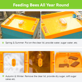 BEEXTM Beehive Feeder transparent cover allows quick level checks without disturbance.