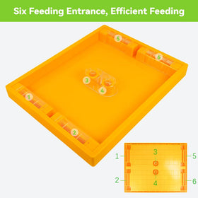 BEEXTM Beehive Feeder two compartments design supports dual bee groups feeding.