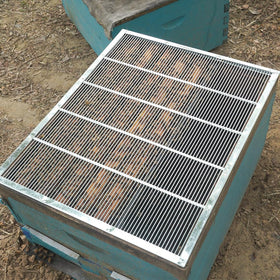 BEEXTM Excluder sits between brood and honey to separate laying areas