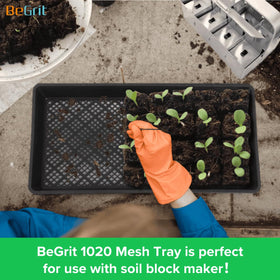 BeGrit BPA-free PP tray keeps edible greens safe.