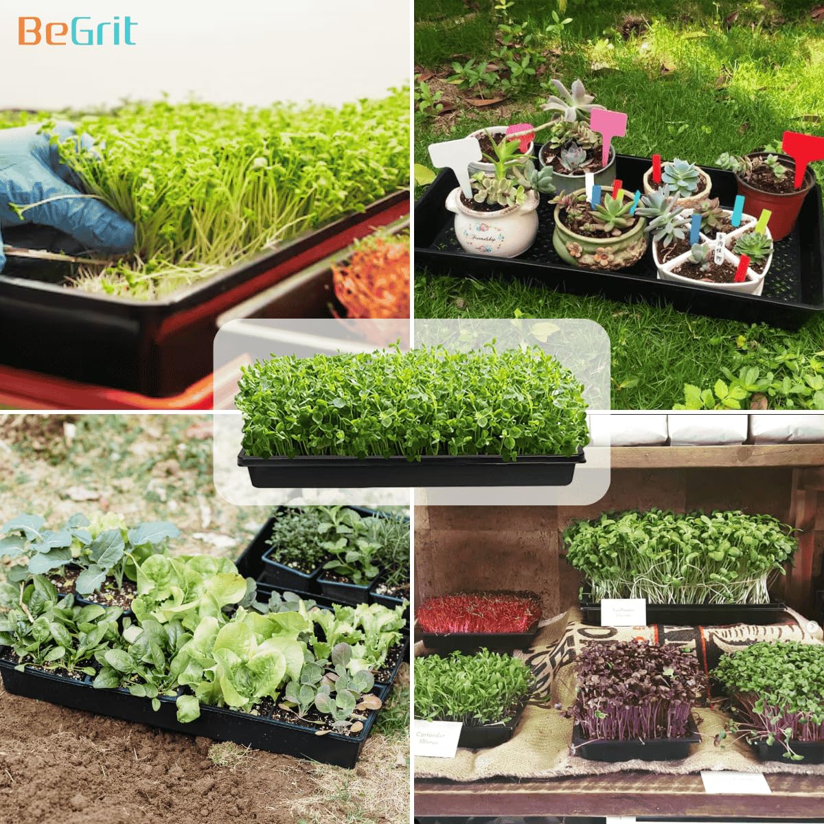 BeGrit indoor seed-starting 6-pack set for versatile growing.