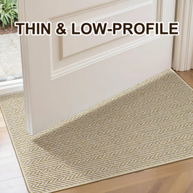 BEISIFLOOR thin doormat is easy to clean and quick to dry