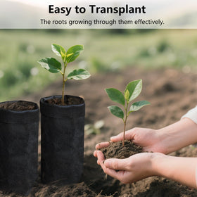 Belit grow bags ideal for flowers, vegetables, saplings, and more.