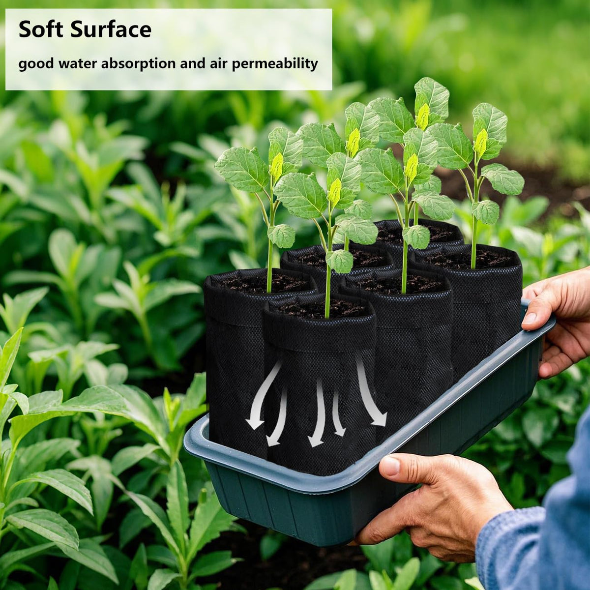 Belit garden bags in a family plot support flowers and vegetables.