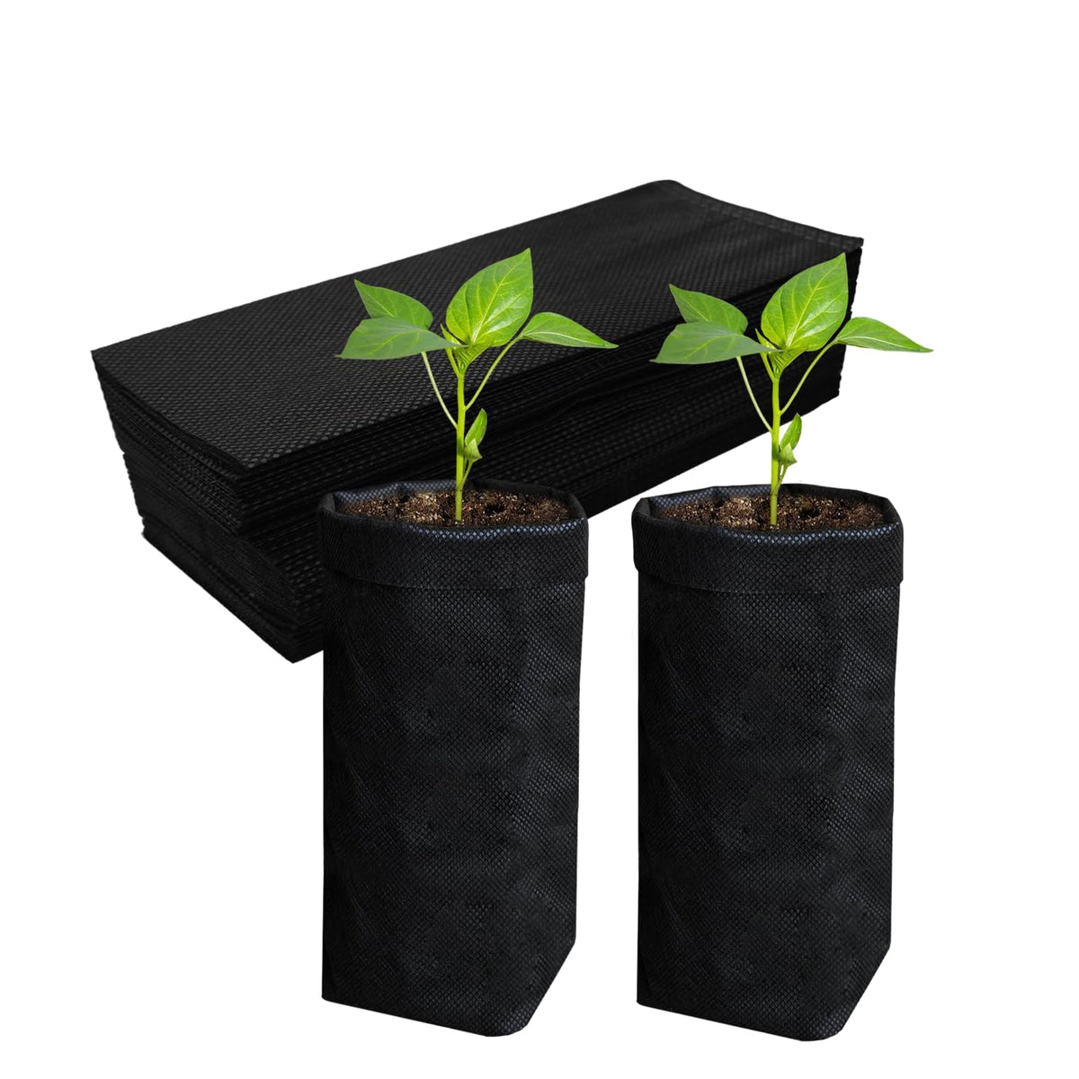 Belit non-woven grow bag shows sturdy material for direct ground planting.