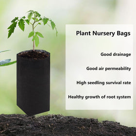 Belit nonwoven fabric closeup showing sturdy texture and good drainage for seedlings.