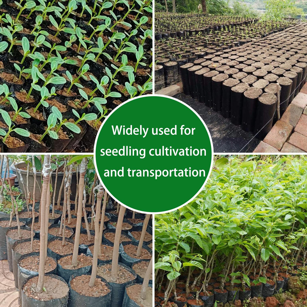 Belit seedling bags 3-5x6-6 inch compact size for small seedlings.