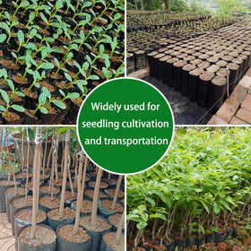 Belit seedling bags 3-5x6-6 inch compact size for small seedlings.