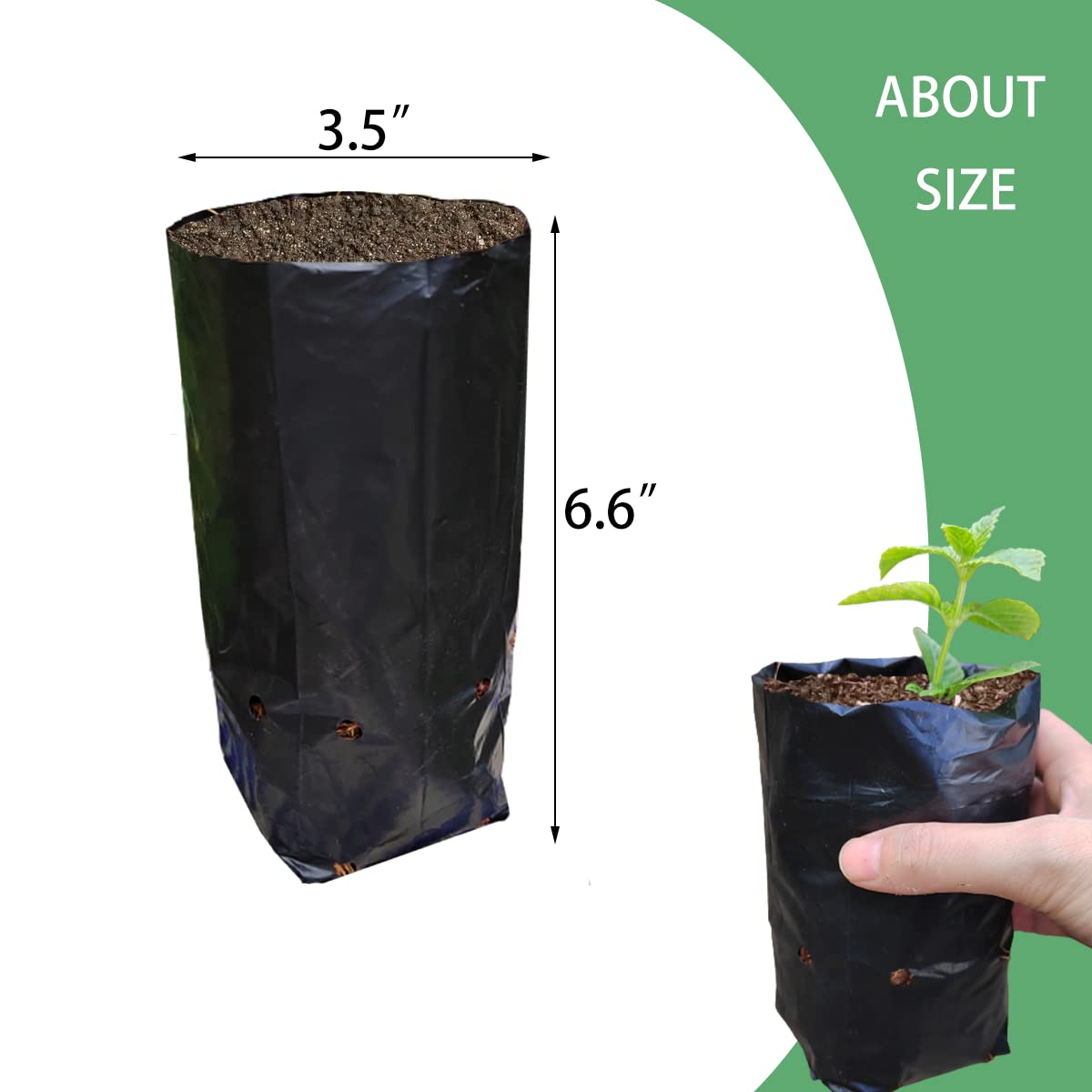 Belit seedling bags easy for transporting saplings from yard to pot.