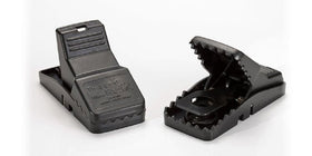 Bell Laboratories TRAPPER Mini T-rex trap with integrated bait cup for better attraction.