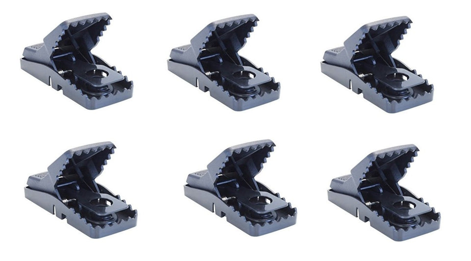 Bell Laboratories TRAPPER Mini T-rex trap front view for quick, safe one-handed setup.