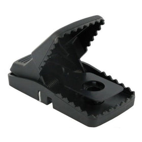 Bell Laboratories Trapper T-Rex trap setup for secure placement indoors