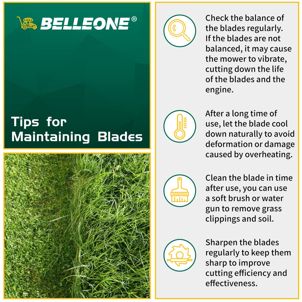 Belleone blade in action cutting grass to show even trim potential