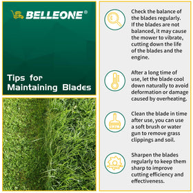 Belleone blade in action cutting grass to show even trim potential