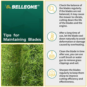 Belleone two-pack blades included for quick replacement.