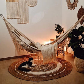 Bellzacasa hammock setup between two trees for outdoor leisure