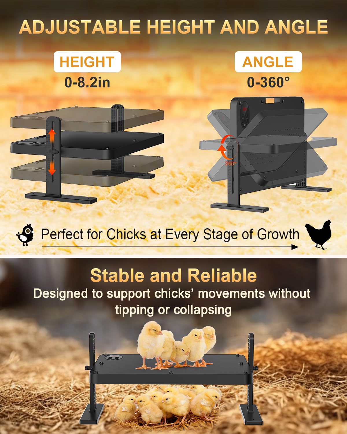 BEMOKURI brooder plate adjustable height and 360° rotation supports growth.